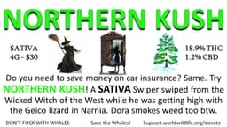 Northern Kush