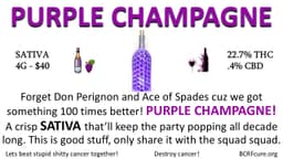 Purple Champagne