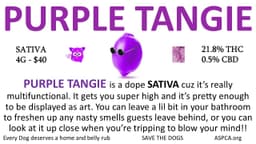 Purple Tangie