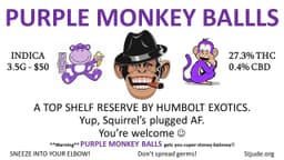 Purple Monkey Balls