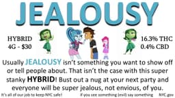 Jealousy